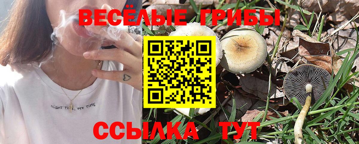 Псилоцибиновые грибы GOLDEN TEACHER  Псилоцибиновые грибы MAGIC MUSHROOMS  Вход с VPN  Смоленск 